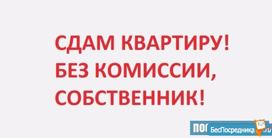 Без комиссии. Сдается квартира. Сдается квартира надпись. Сдам квартиру надпись. Сдам 1а комнатную надпись.